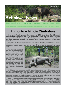 SBRT News SUM 10 New:SBRT News SUM 10 New