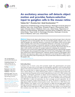 An excitatory amacrine cell detects object motion and provides