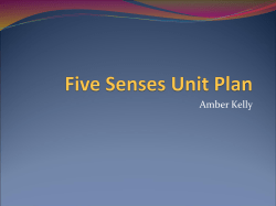 Five Senses Unit