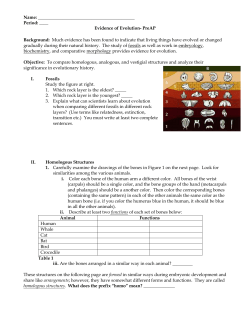 Schools / Homepage