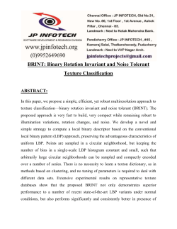 BRINT Binary Rotation Invariant and Noise Tolerant