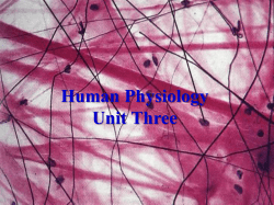 Unit Three - Objectives 1-10