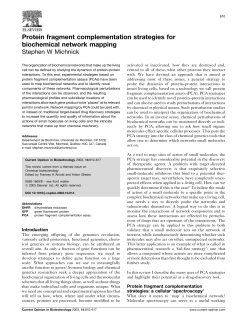 Protein fragment complementation strategies for biochemical