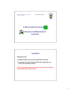 II. Macromolecular Interactions Structure and Mechanism II