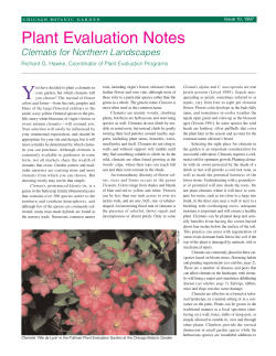 7098 Plant Eval Clematis.final