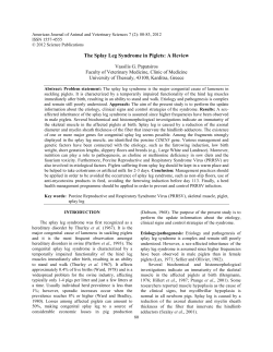 The Splay Leg Syndrome in Piglets: A Review