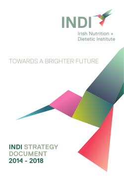 INDI STRATEGY DOCUMENT 2014