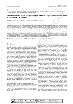 Multilevel studies on the two phenological forms of Large Blue