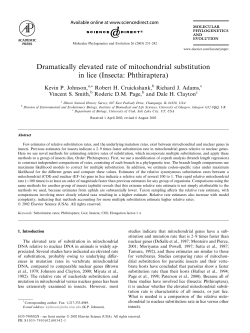 Dramatically elevated rate of mitochondrial substitution in lice