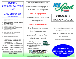 spring 2017 hockey league