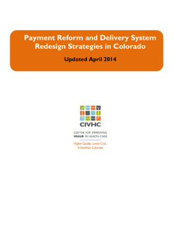 Payment Reform and Delivery System Redesign Strategies