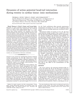 Dynamics of action potential head-tail interaction during reentry in