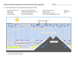 Calcium Carbonate Compensation Depth