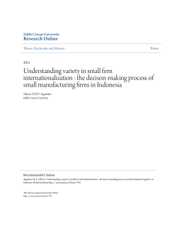 Understanding variety in small firm