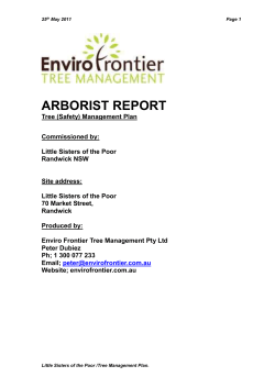 Prepared by Paul Shearer