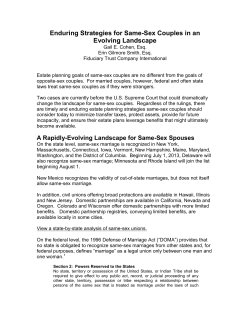 Enduring Strategies for Same-Sex Couples in an Evolving Landscape