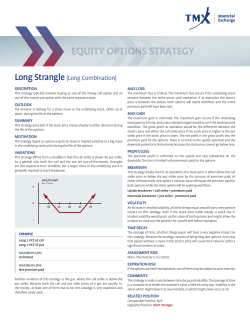EQUITY OPTIONS STRATEGY