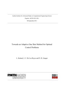 Towards an Adaptive One Shot Method for Optimal Control Problems