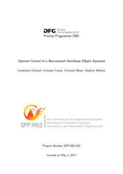 Priority Programme 1962 Optimal Control of a Non