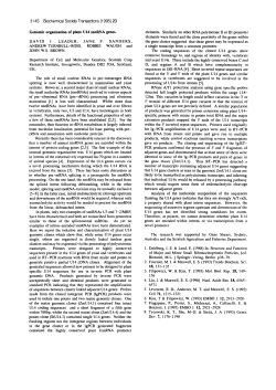 Genomic organisation of plant U14 snoRNA genes