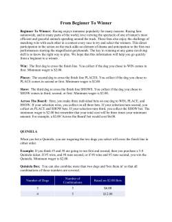 From beginner to winner