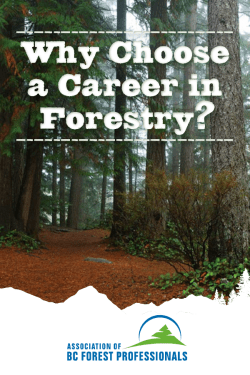 Why Choose a Career in Forestry?