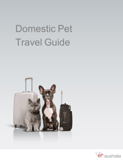 Domestic Pet Travel Guide