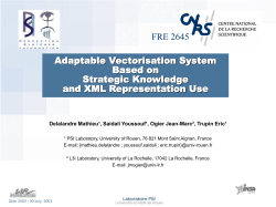 Adaptable Vectorisation System Based on Strategic Knowledge and