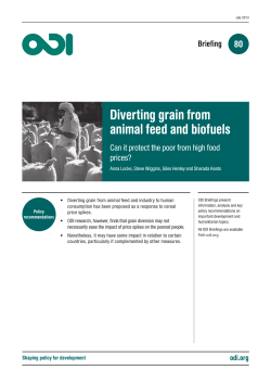 Diverting grain from animal feed and biofuels