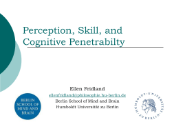 Perception, Skill and Cognitive Penetrabilty