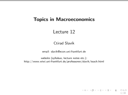 Topics in Macroeconomics Lecture 12 - Wiwi Uni