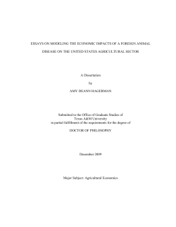 ESSAYS ON MODELING THE ECONOMIC