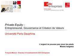 Le Private Equity - master 272 Ing&eacute;nierie Economique