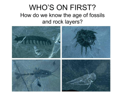 fossils - mykingbiology