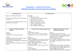 Multiskills &ndash; Small Ball Unit Plan Skill Specific Ideas and