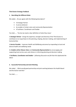 Third Sector Strategy Feedback Describing the Different Roles We