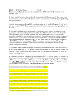 final exam answer key 2015