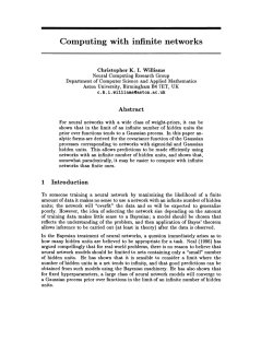 Computing with Infinite Networks