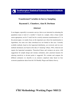 S RI Methodology Working Paper M03/21