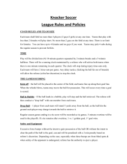 Knocker Soccer League Rules and Policies