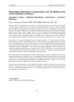 Dissociating Rule-based Categorization and Set