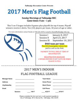 2017 men`s indoor flag football league