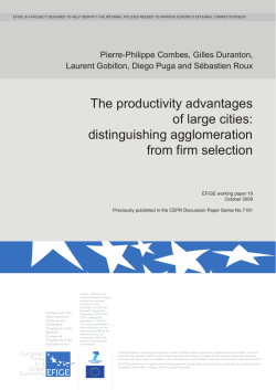 The productivity advantages of large cities: Distinguishing