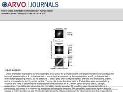 Slide - Journal of Vision