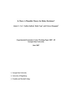 Is There A Plausible Theory for Risky Decisions?