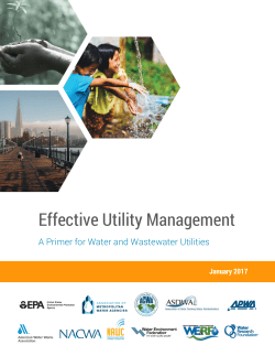 Effective Utility Management A Primer for Water and
