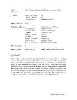 annual report and nugget - The Nonwovens Institute