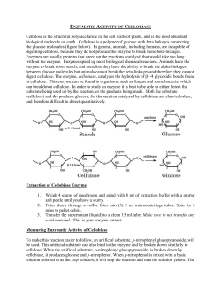 Four ml cuvette version