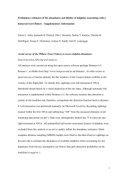 Preliminary estimates of the abundance and fidelity of dolphins