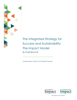 The Integrated Strategy for Success and Sustainability: The Impact